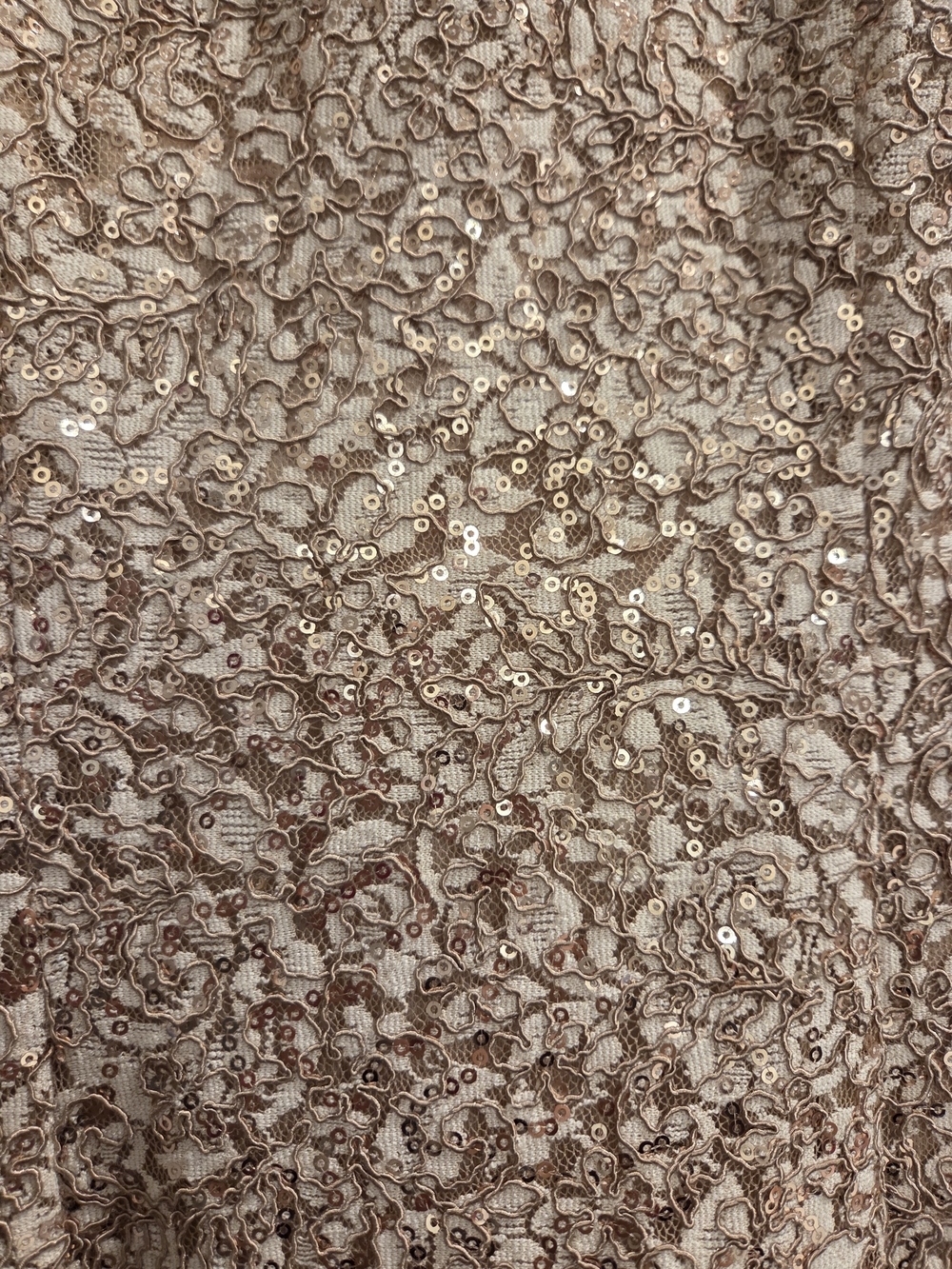 Alex Evenings Champagne Sequin Long Sleeve Gown - Picture 3 of 6
